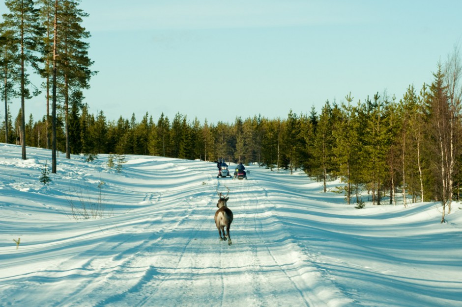 Bjurholm – Fotograf Umeå | Bjarte Edvardsen